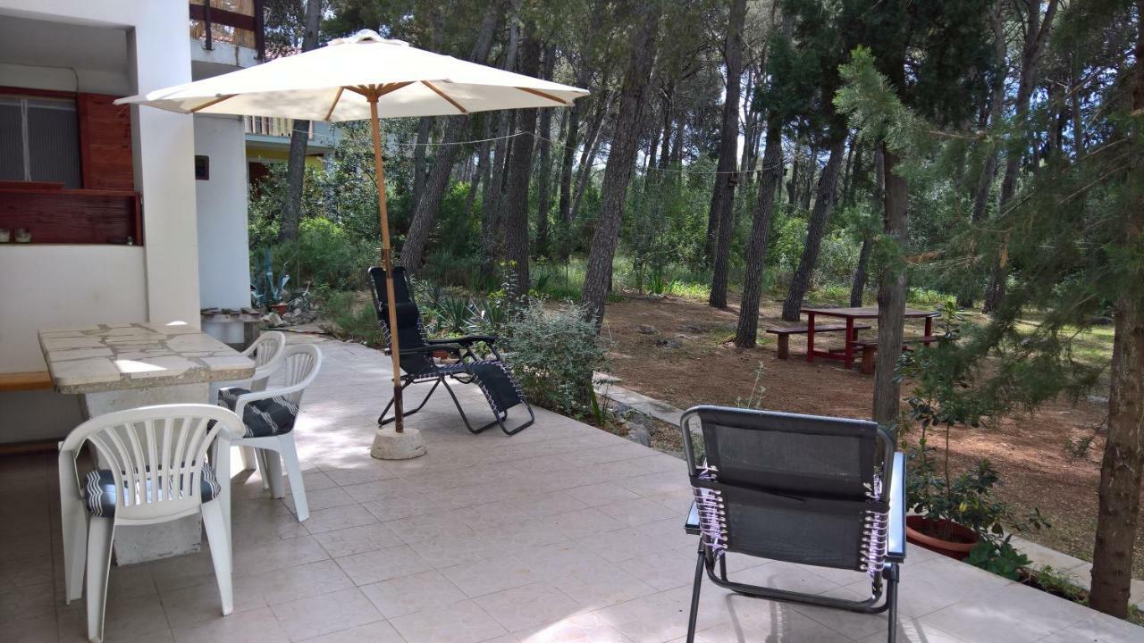 Apartments Vera - Mirca Mirca  Экстерьер фото
