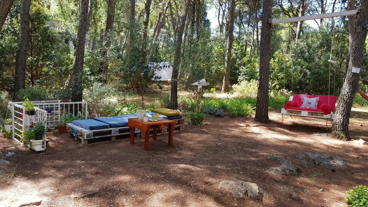 Apartments Vera - Mirca Mirca  Экстерьер фото